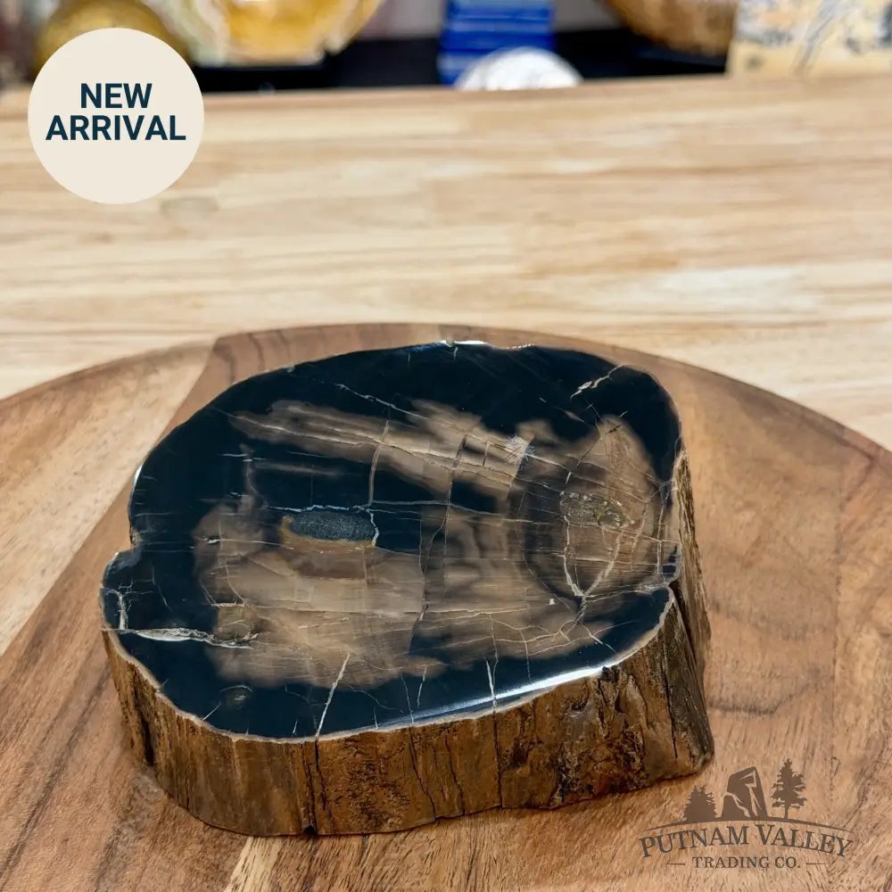 Petrified Wood Mini Stump Accent 4.9’’ - Free Standing Accent