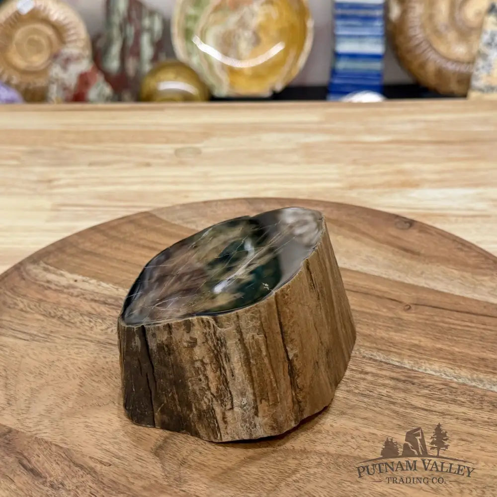 Petrified Wood Mini Stump Accent 4.9’’ - Free Standing Accent