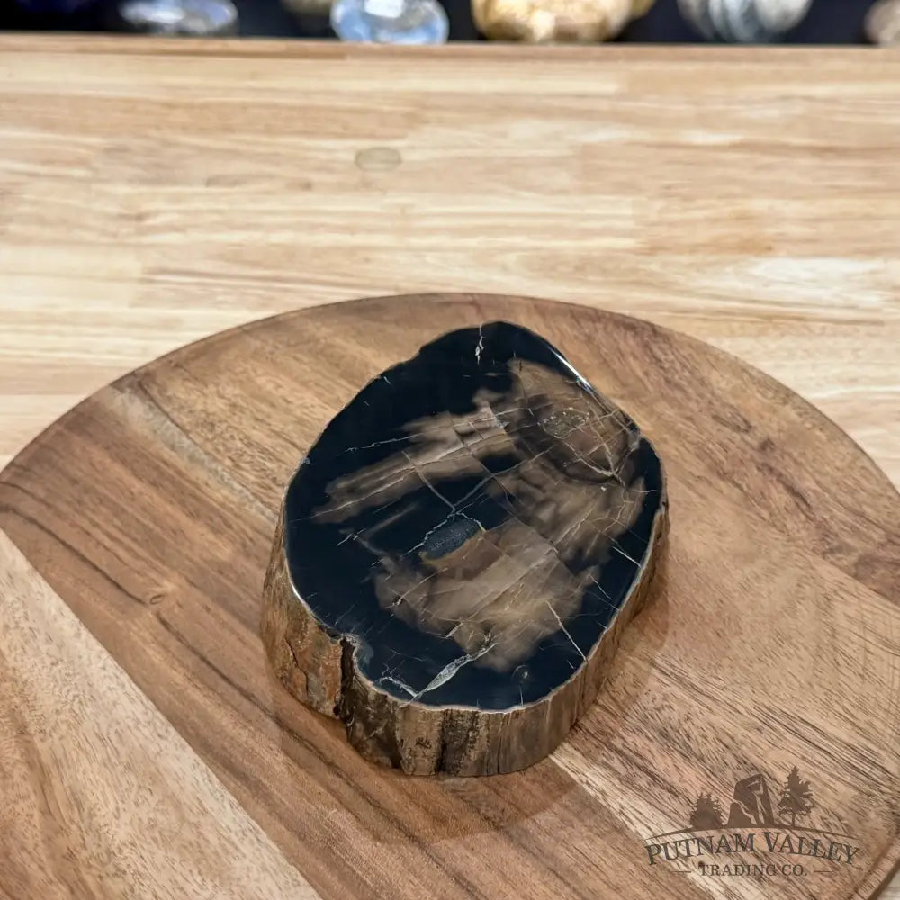 Petrified Wood Mini Stump Accent 4.9’’ - Free Standing Accent