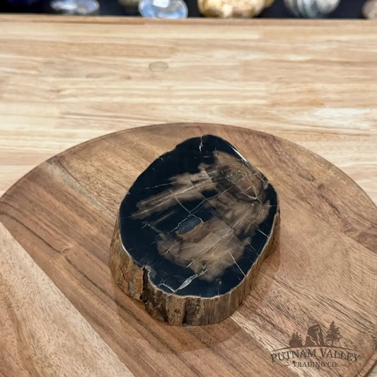 Petrified Wood Mini Stump Accent 4.9’’ - Free Standing Accent