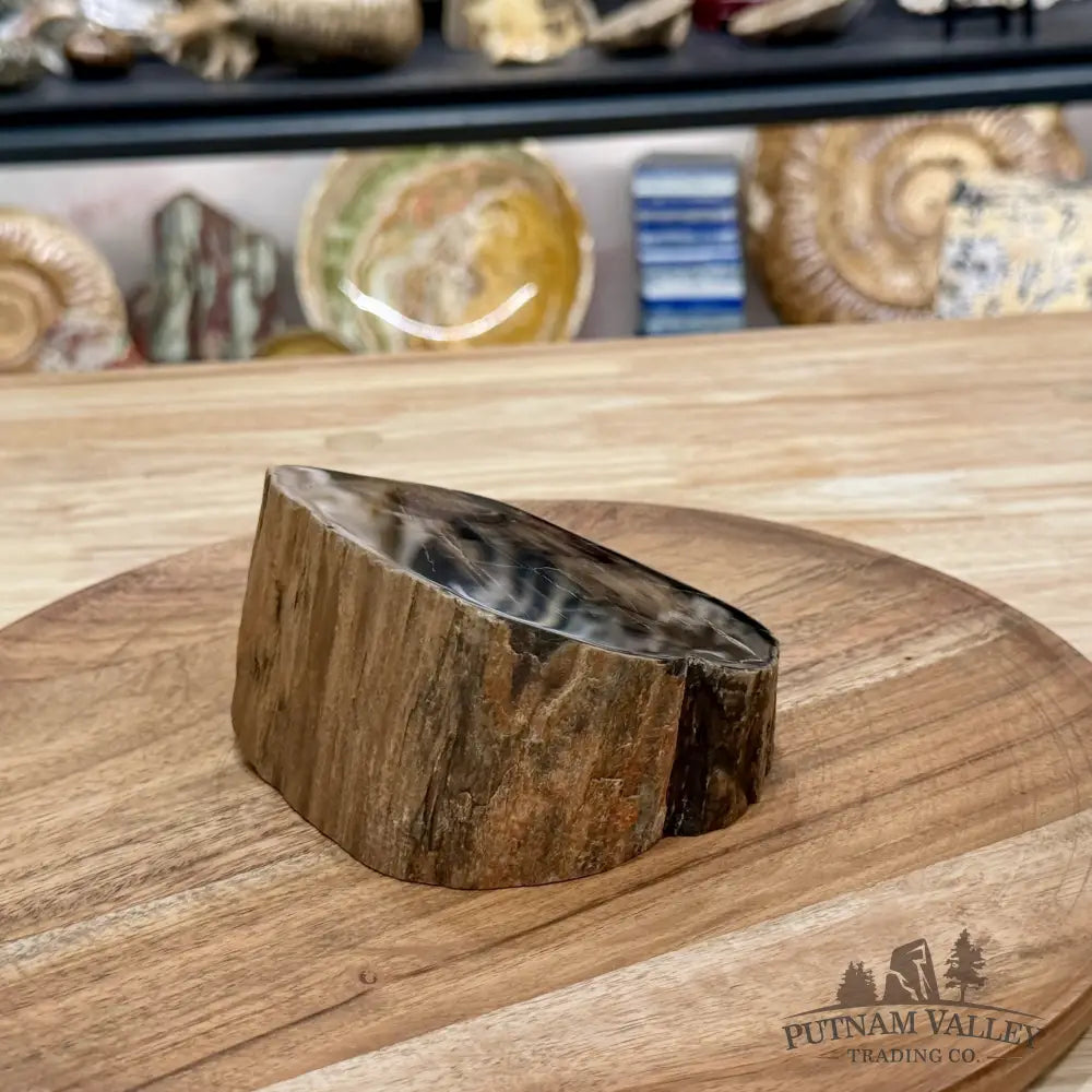 Petrified Wood Mini Stump Accent 4.9’’ - Free Standing Accent