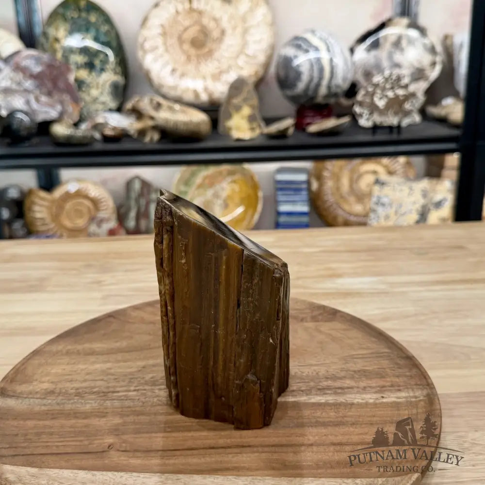Petrified Wood Mini Stump Accent 5.1’’ - Free Standing Accent
