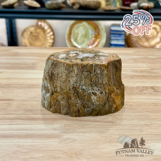 Petrified Wood Mini Stump Accent 5’’ - Accent