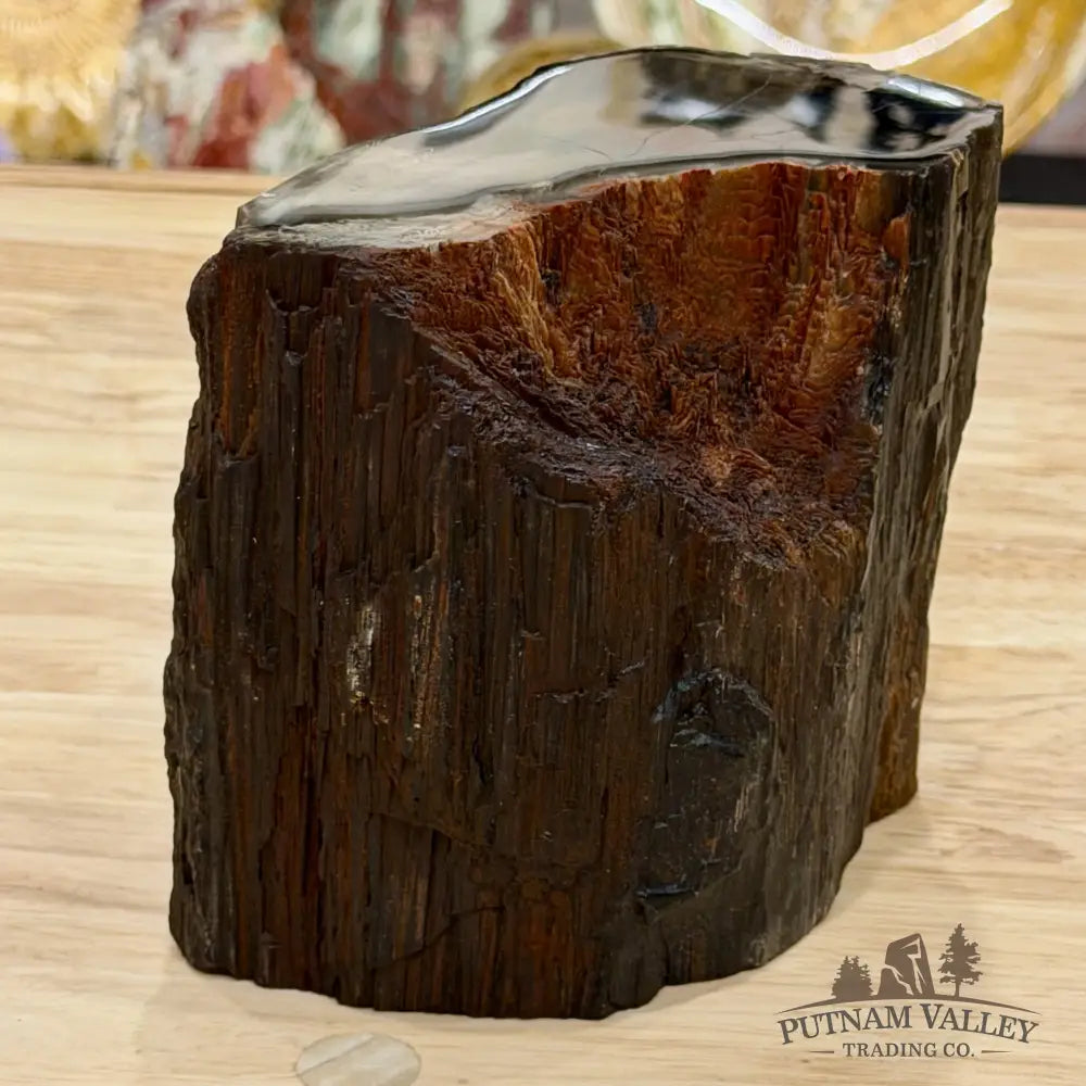 Petrified Wood Mini Stump Accent 5.68’’ - Free Standing Accent