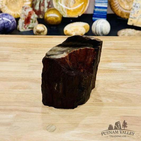 Petrified Wood Mini Stump Accent 5.68’’ - Free Standing Accent