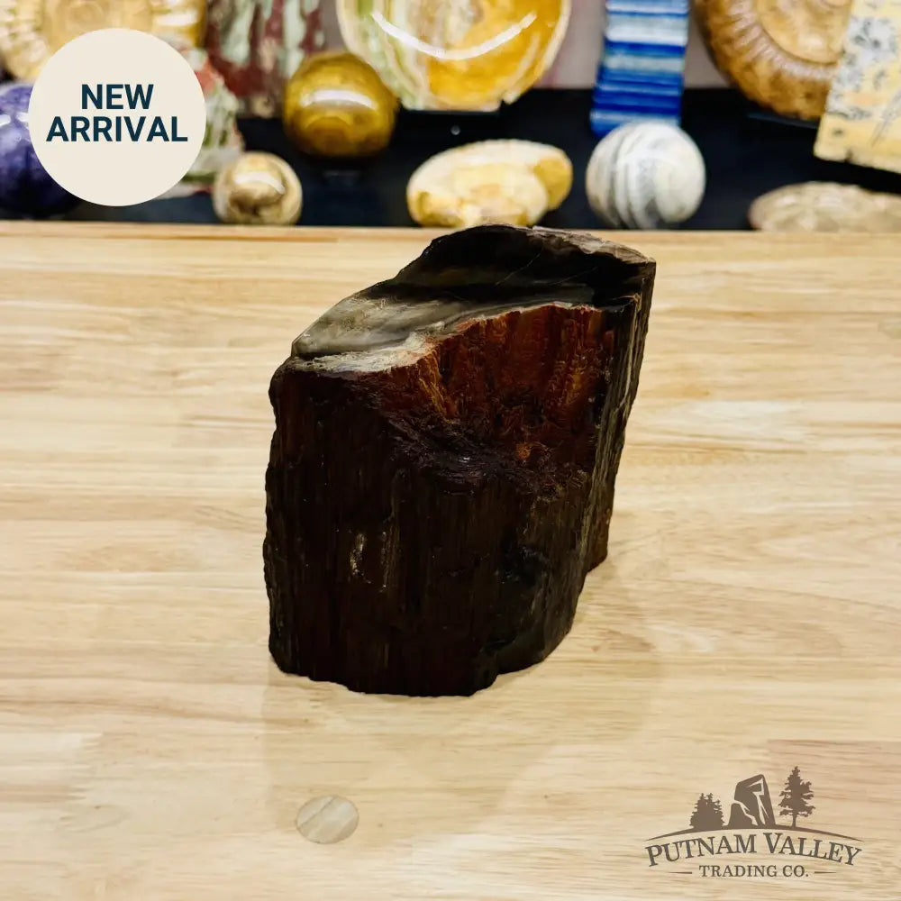 Petrified Wood Mini Stump Accent 5.68’’ - Free Standing Accent
