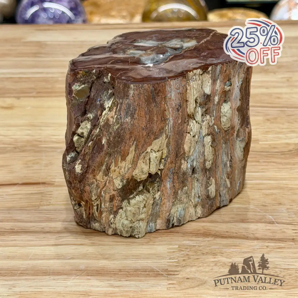 Petrified Wood Mini Stump Accent 5.97’’ - Accent