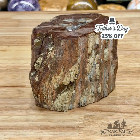 Petrified Wood Mini Stump Accent 5.97’’ - Accent