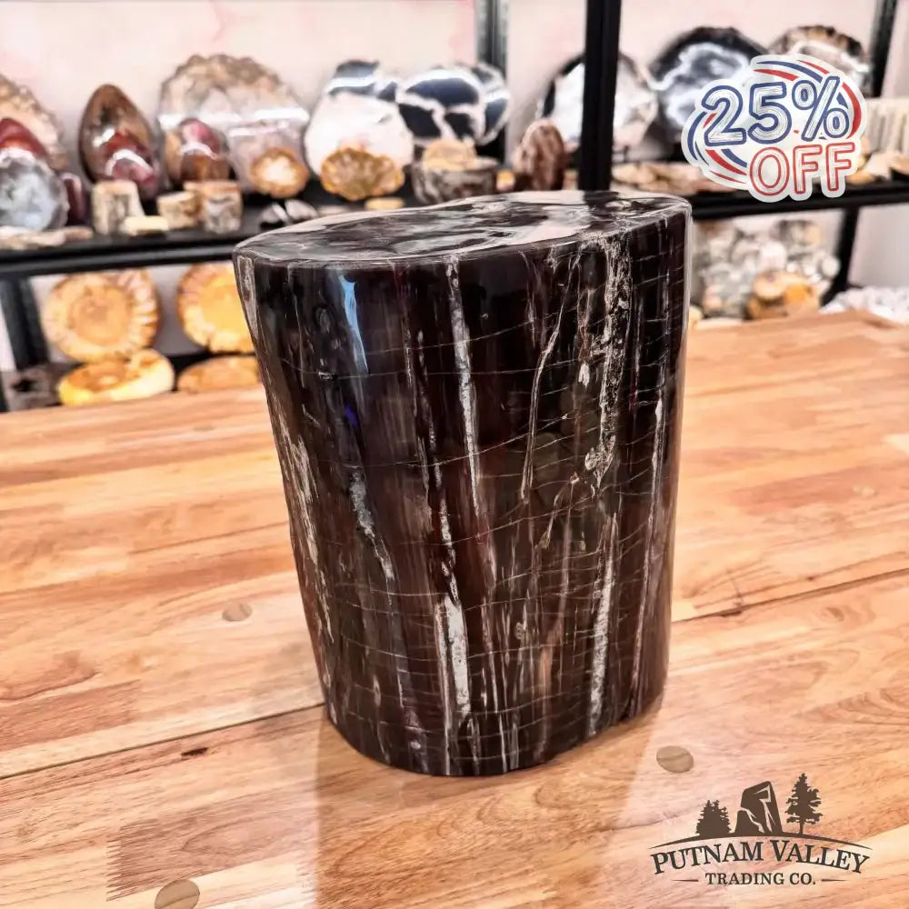 Real Petrified Wood Round Pillar - Putnam Valley Trading Co.