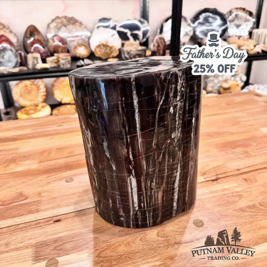 Real Petrified Wood Round Pillar - Putnam Valley Trading Co.