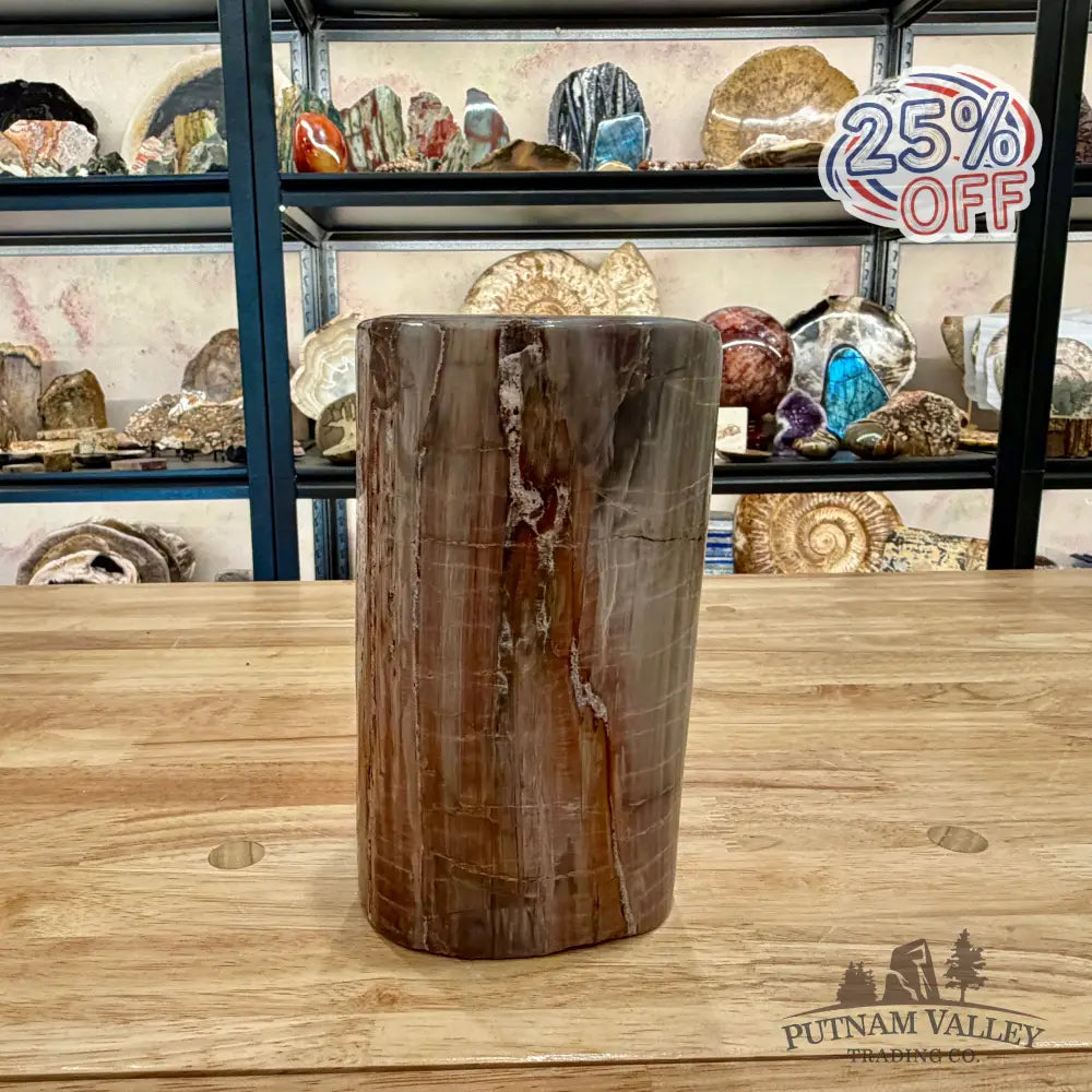 Petrified Wood Round Pillar 7’’ - Accent