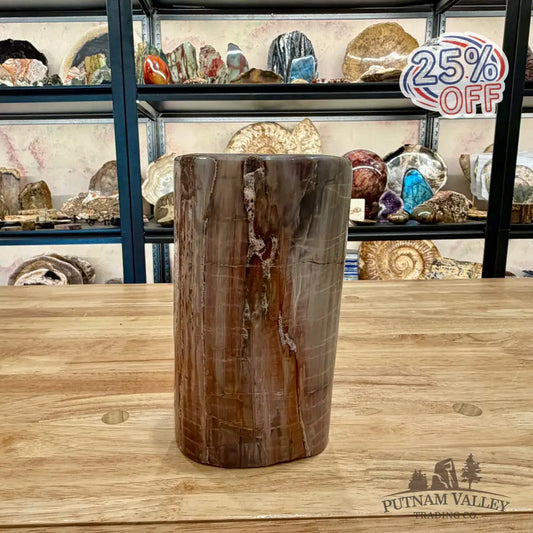 Petrified Wood Round Pillar 7’’ - Accent
