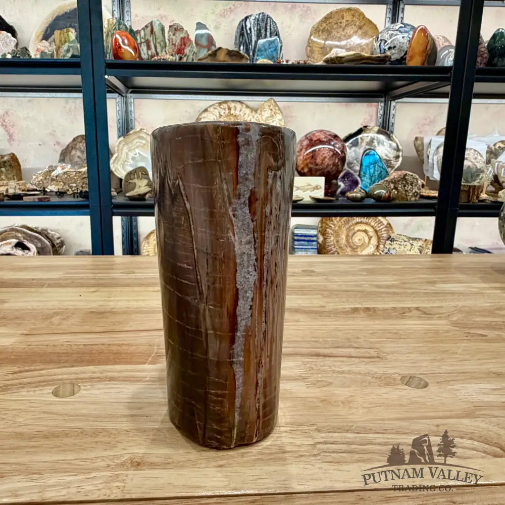 Petrified Wood Round Pillar 7’’ - Accent
