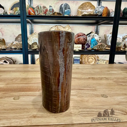 Petrified Wood Round Pillar 7’’ - Accent
