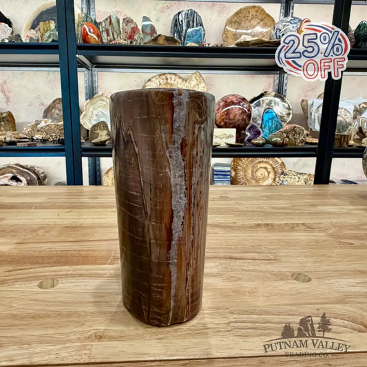 Petrified Wood Round Pillar 7’’ - Accent