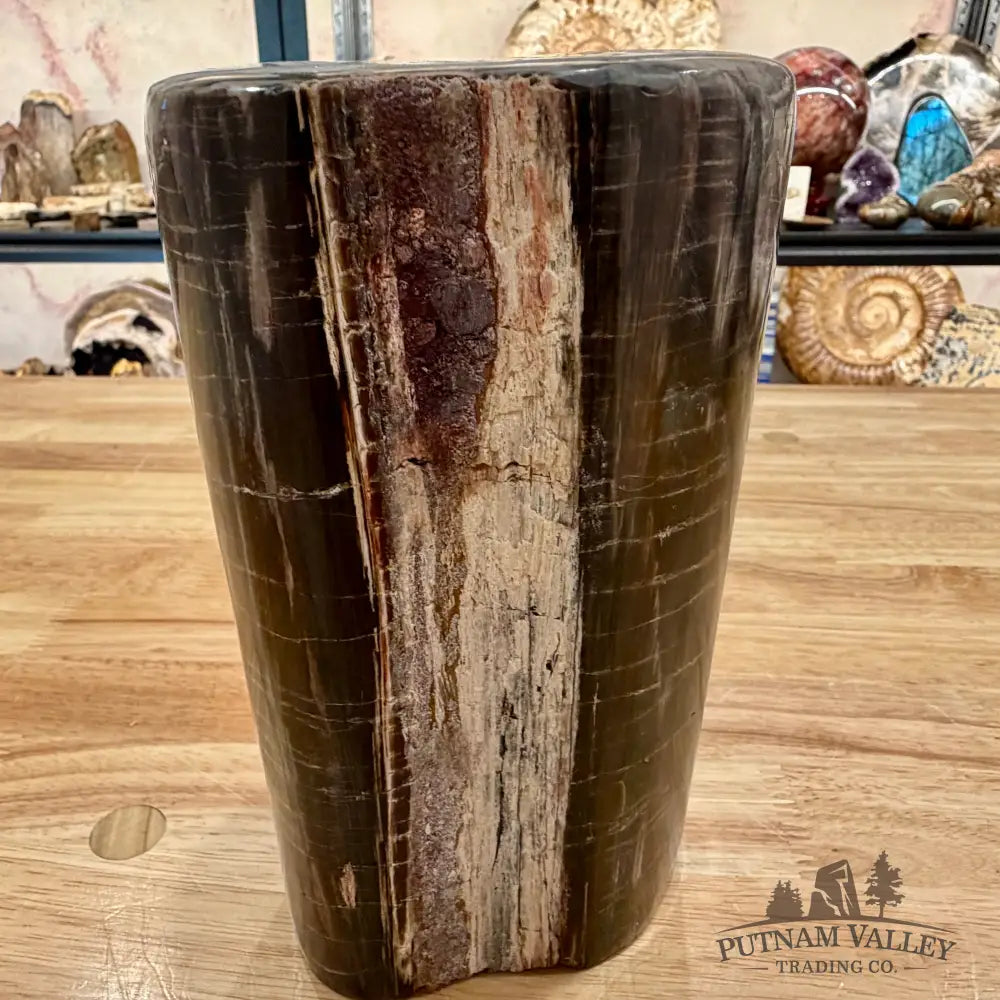 Petrified Wood Round Pillar 7’’ - Accent