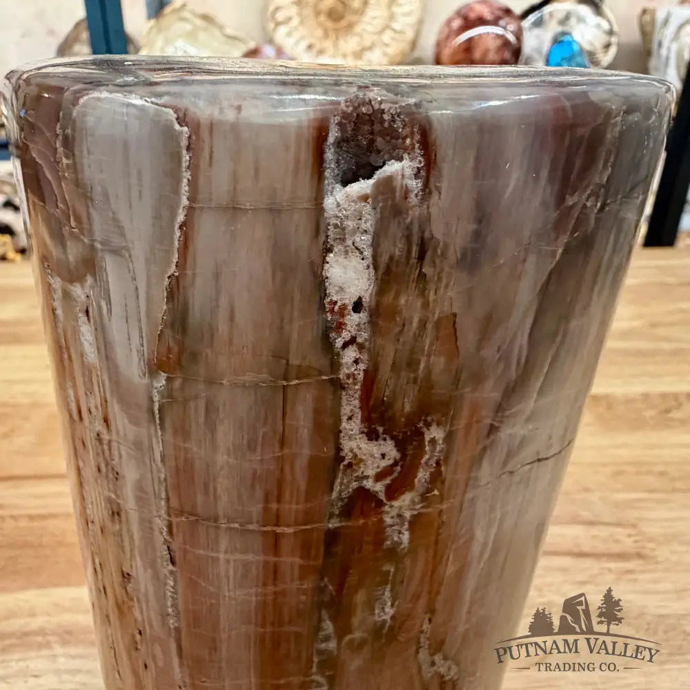 Petrified Wood Round Pillar 7’’ - Accent