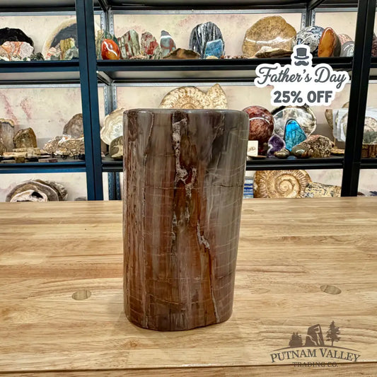 Petrified Wood Round Pillar 7’’ - Accent