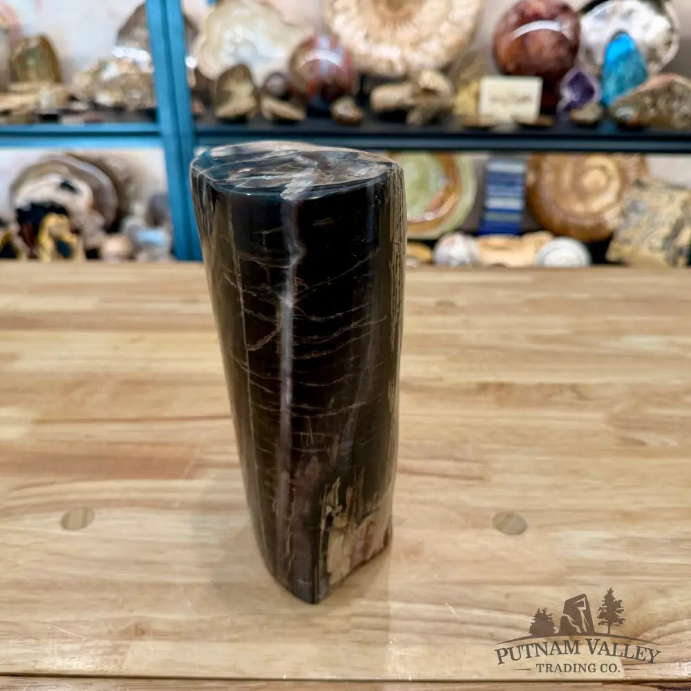 Petrified Wood Round Pillar 8.5’’ - Accent