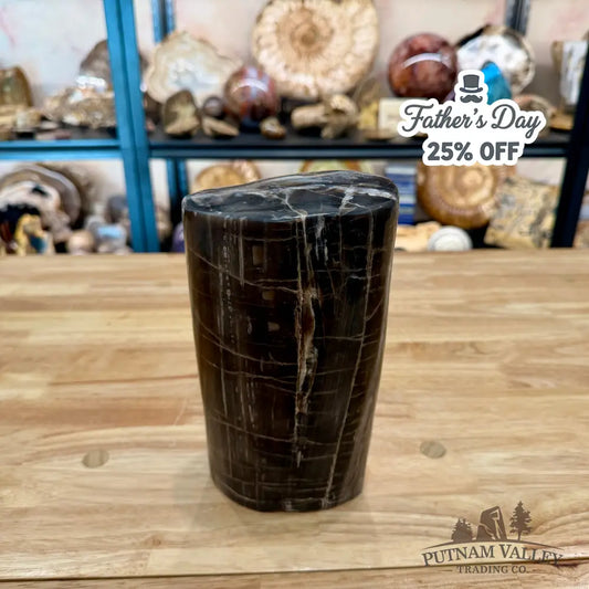 Petrified Wood Round Pillar 8.5’’ - Accent