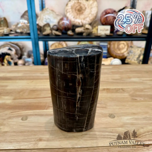 Petrified Wood Round Pillar 8.5’’ - Accent