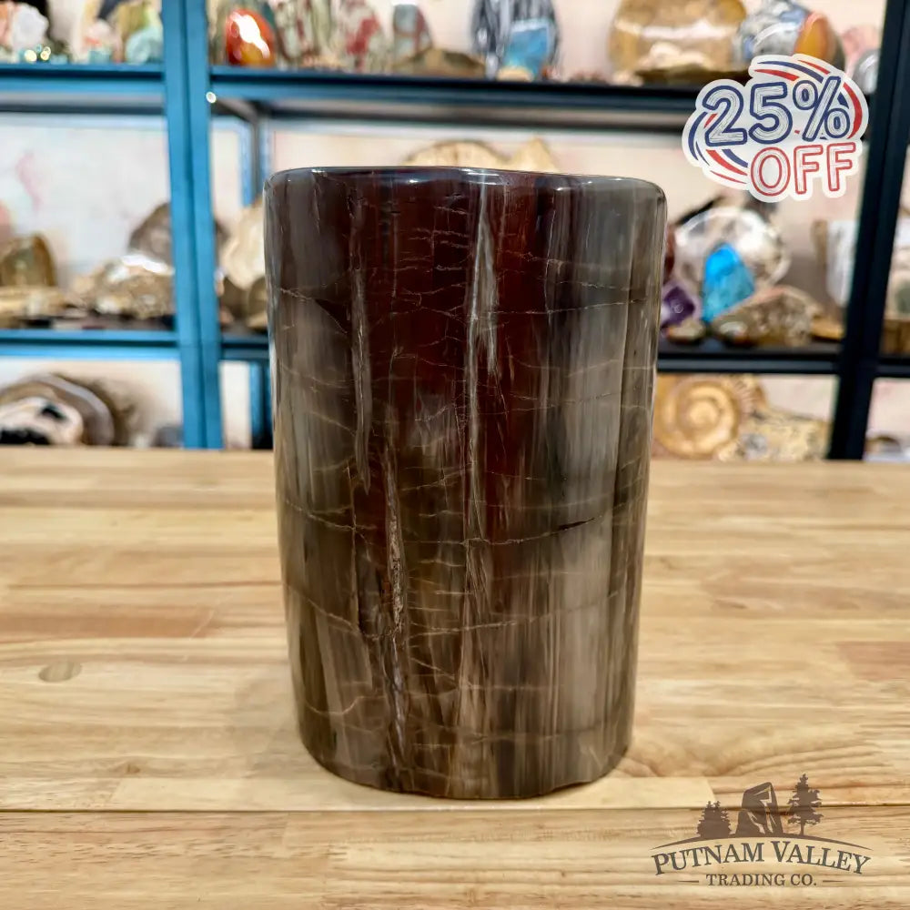 Petrified Wood Round Pillar 9.15’’ - Accent