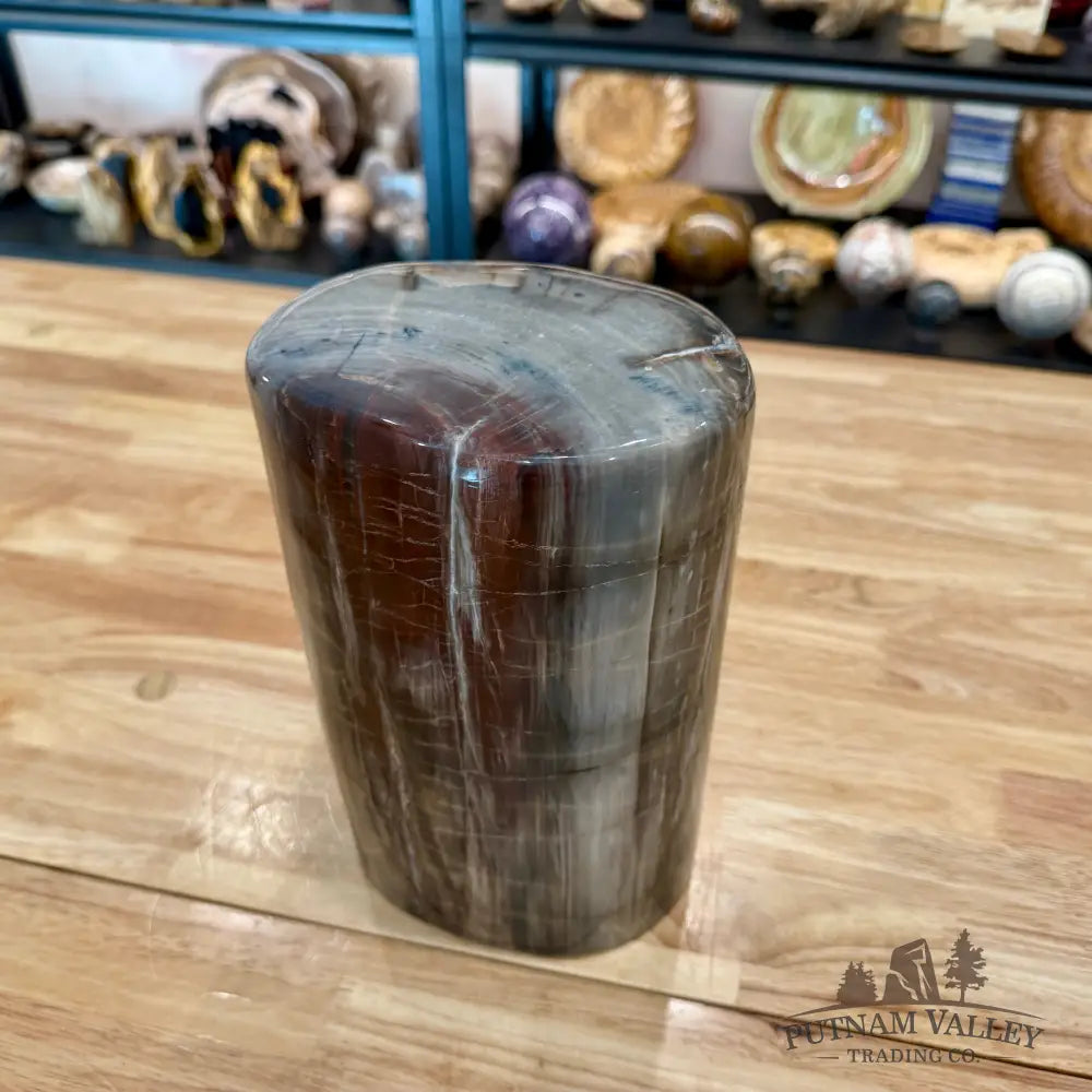 Petrified Wood Round Pillar 9.15’’ - Accent