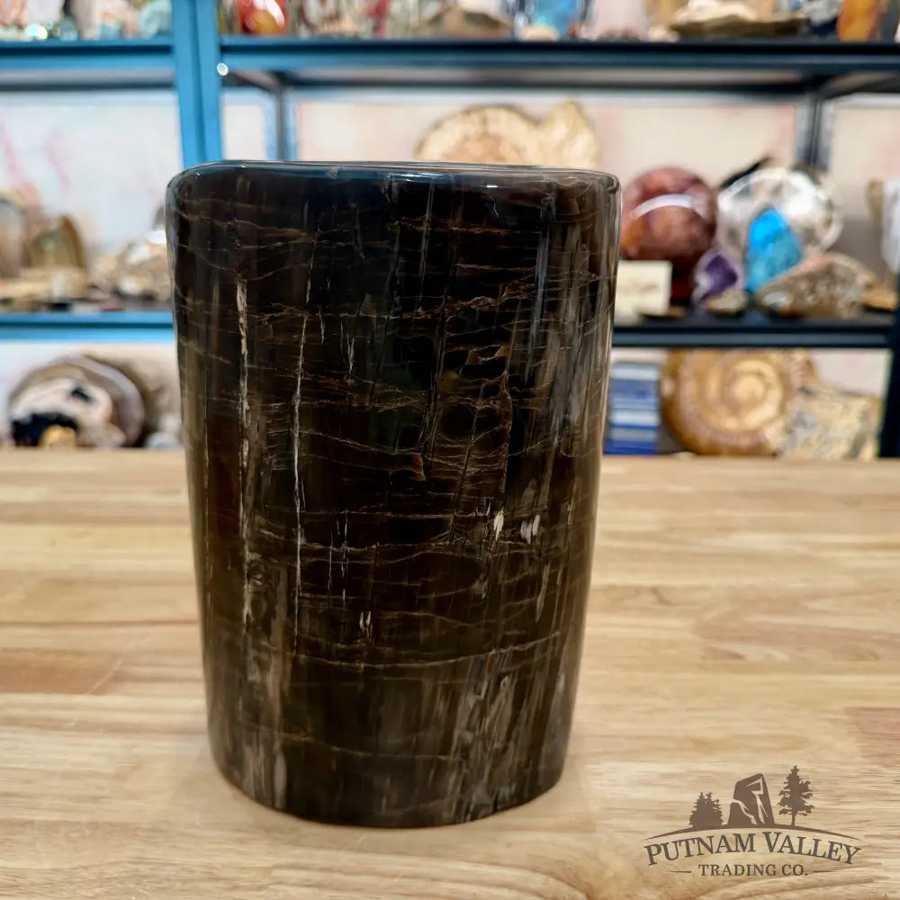 Petrified Wood Round Pillar 9.15’’ - Accent