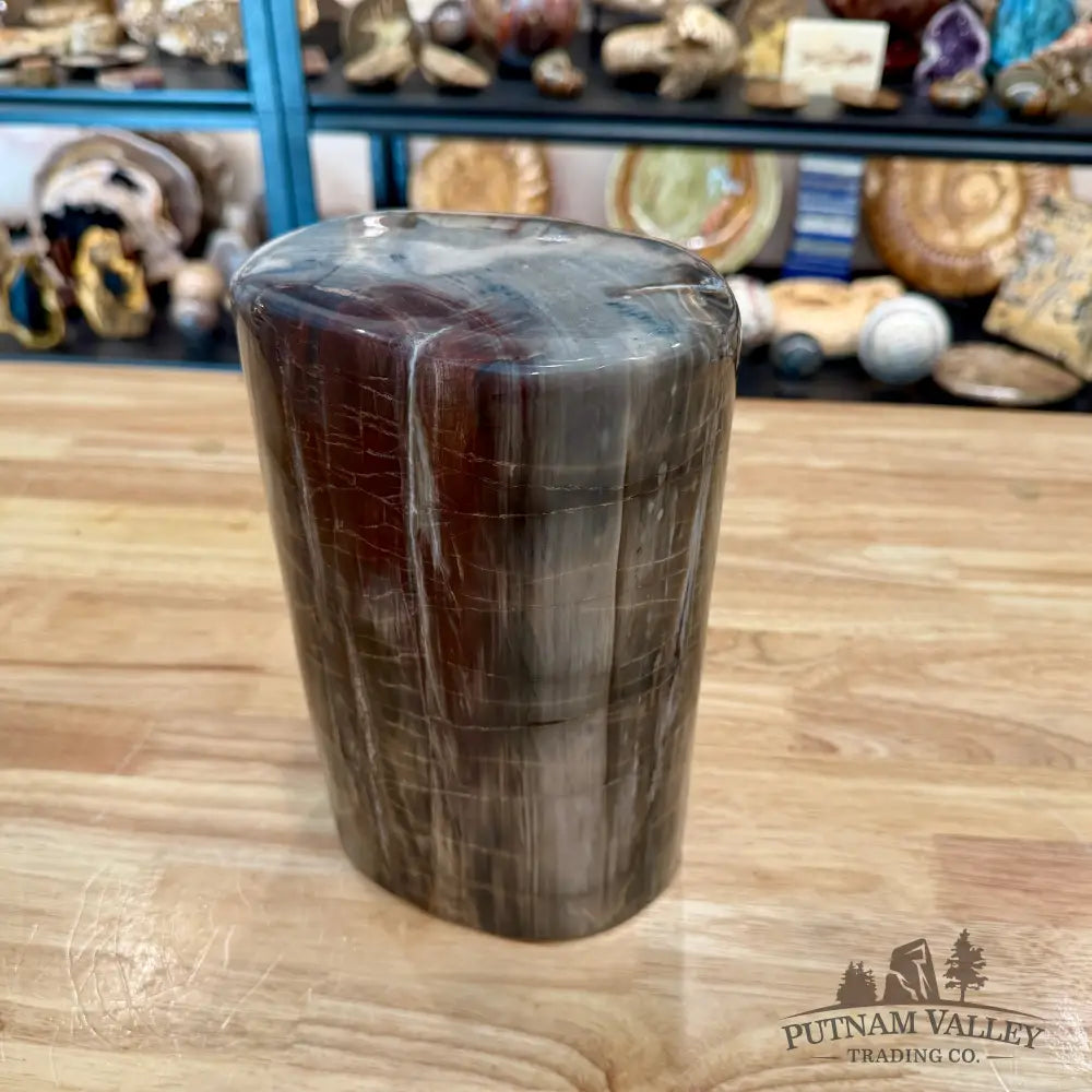 Petrified Wood Round Pillar 9.15’’ - Accent