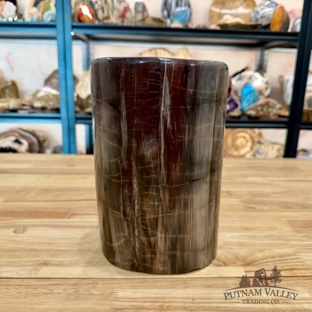 Petrified Wood Round Pillar 9.15’’ - Accent