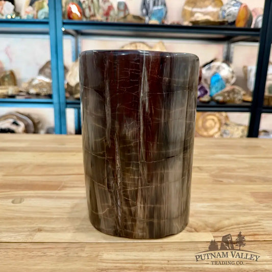 Petrified Wood Round Pillar 9.15’’ - Accent