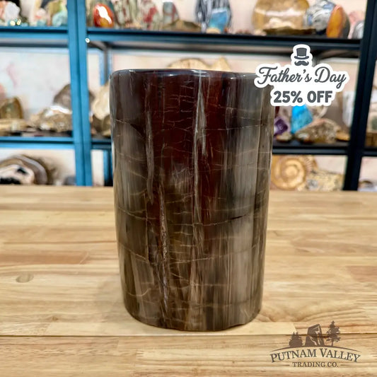 Petrified Wood Round Pillar 9.15’’ - Accent