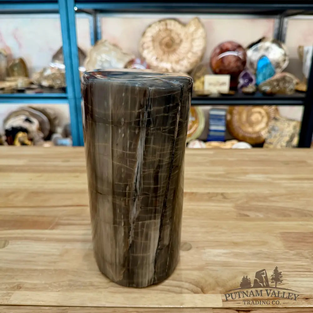 Petrified Wood Round Pillar 9.15’’ - Accent