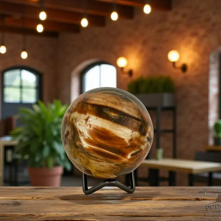 Petrified Wood Sphere Sphere
