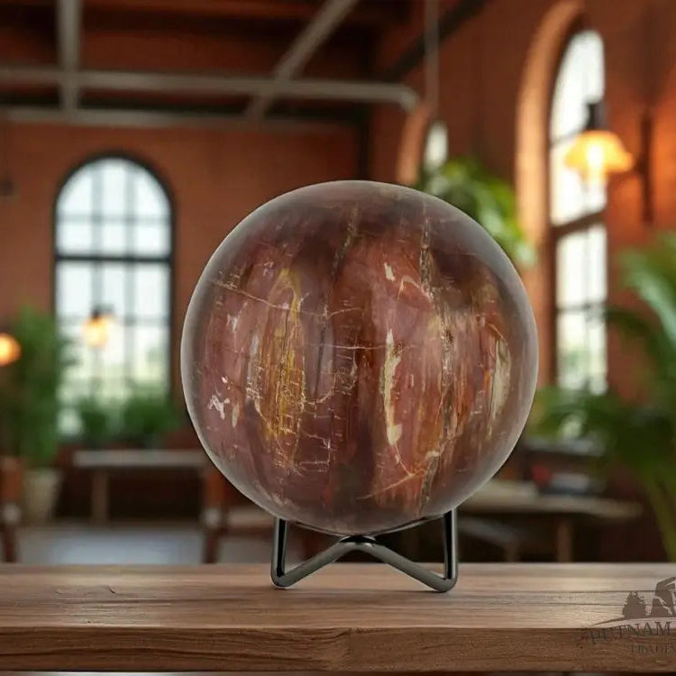 Petrified Wood Sphere Sphere