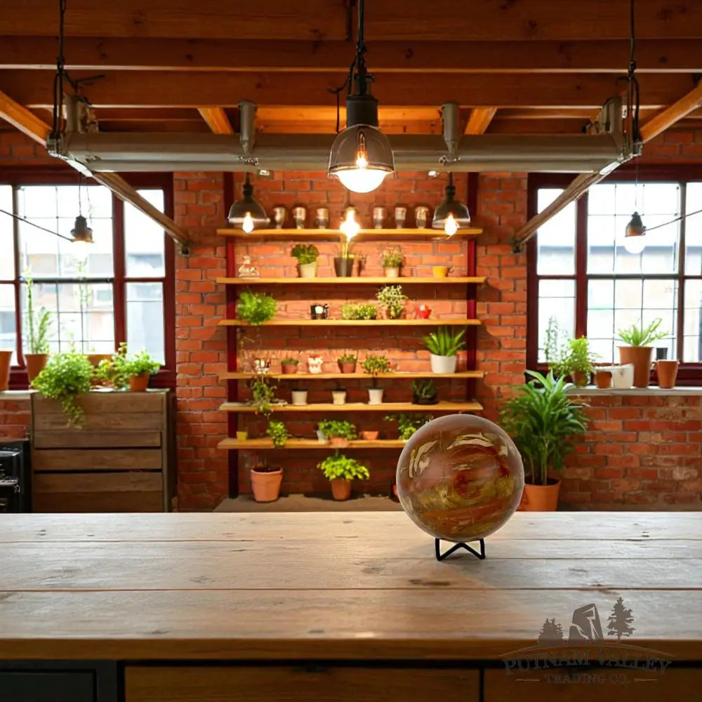 Petrified Wood Sphere 5.4’’ Sphere