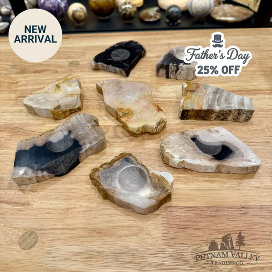 Petrified Wood Sphere Stands - Stands & Accessories