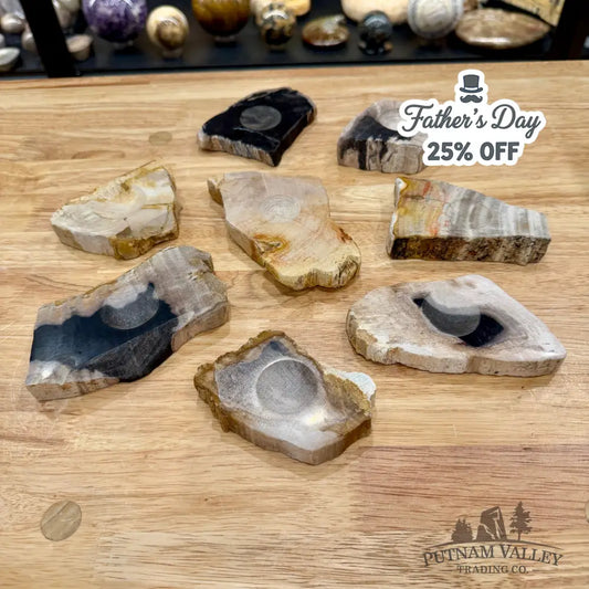 Petrified Wood Sphere Stands - Stands & Accessories