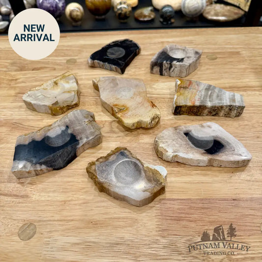 Petrified Wood Sphere Stands - Stands & Accessories