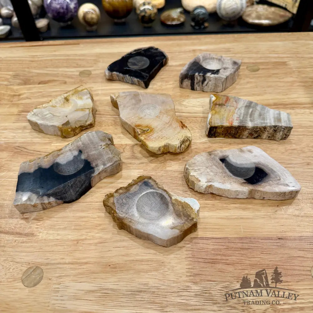 Petrified Wood Sphere Stands - Stands & Accessories