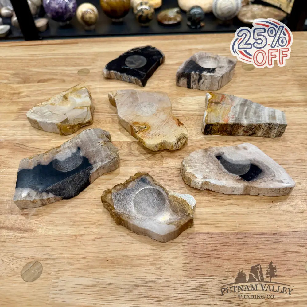 Petrified Wood Sphere Stands - Stands & Accessories