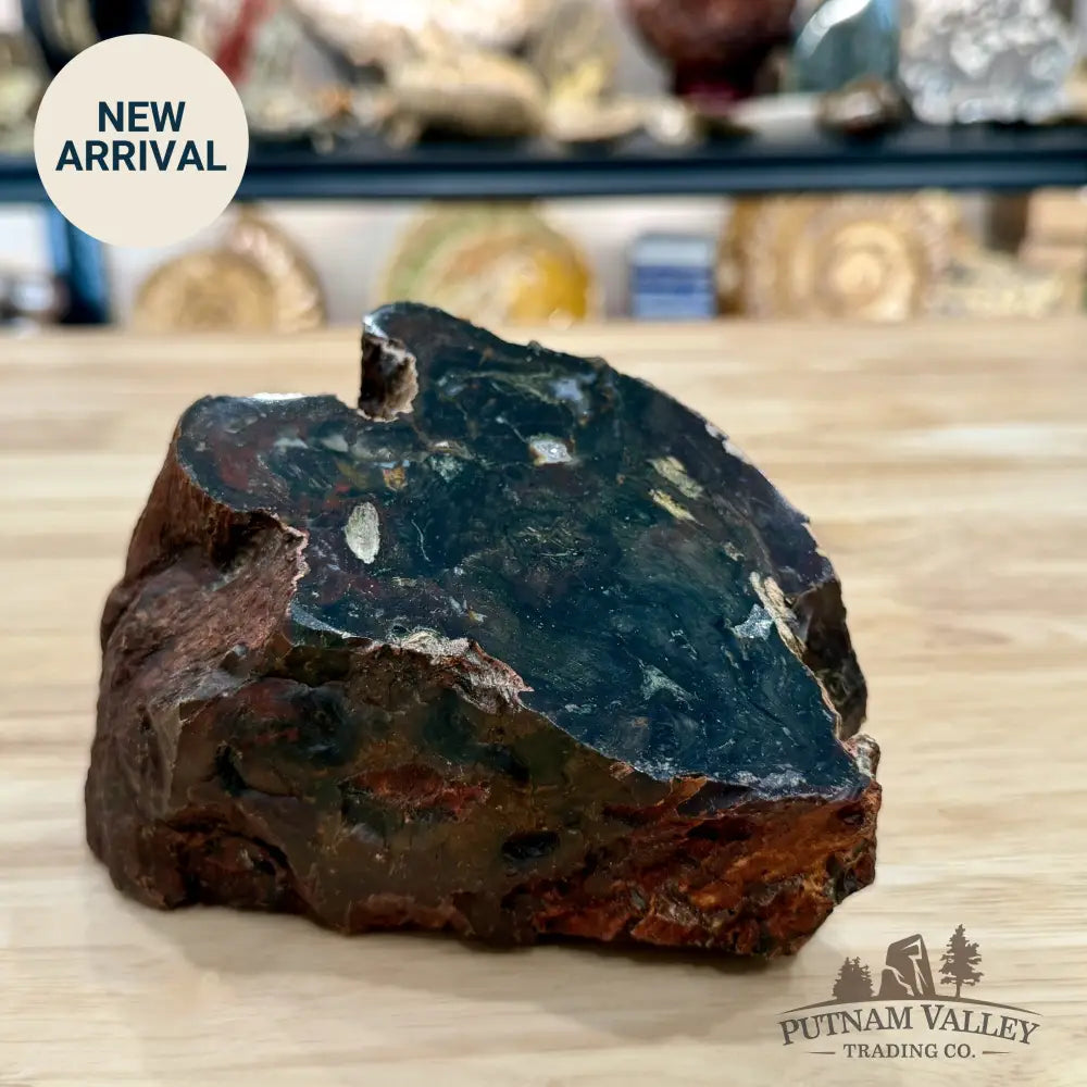 Petrified Wood Table Accent 5.4’’ - Sculpture