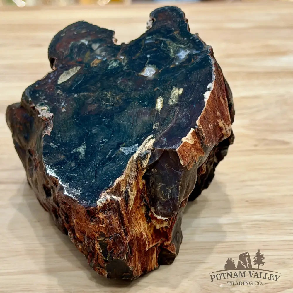Petrified Wood Table Accent 5.4’’ - Sculpture