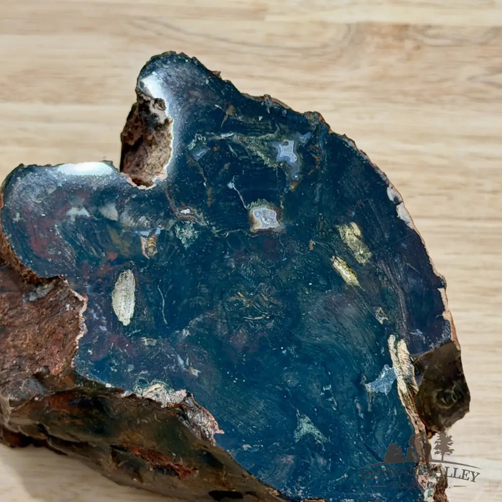 Petrified Wood Table Accent 5.4’’ - Sculpture