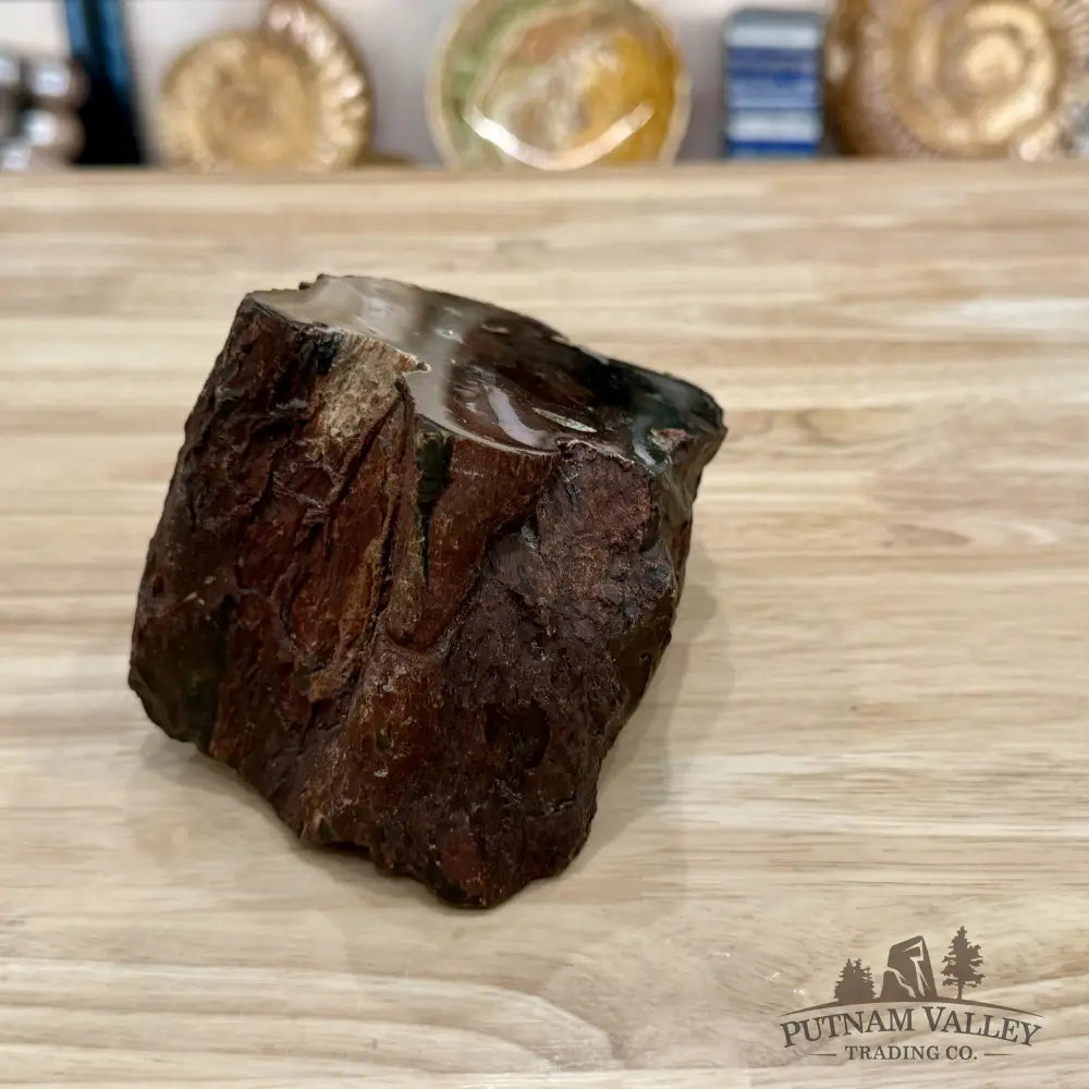 Petrified Wood Table Accent 5.4’’ - Sculpture