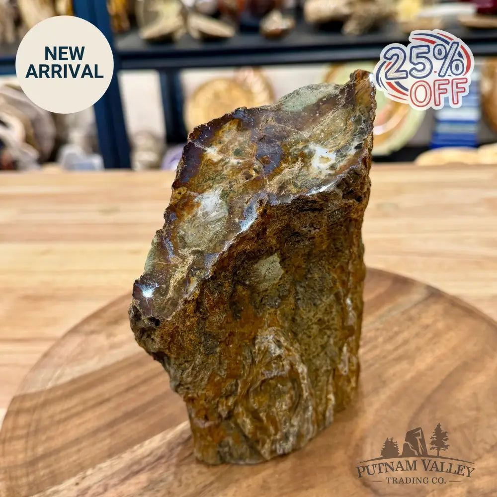 Petrified Wood Table Accent 6.75’’ - Sculpture