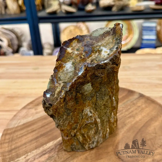 Petrified Wood Table Accent 6.75’’ - Sculpture