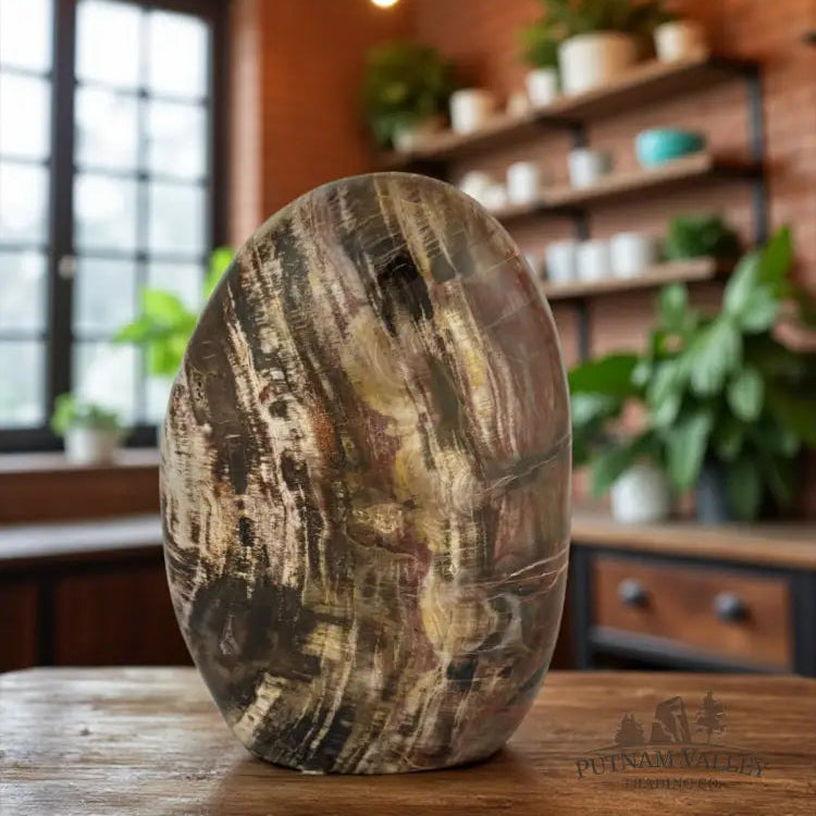Petrified Wood Table Accent Sculpture