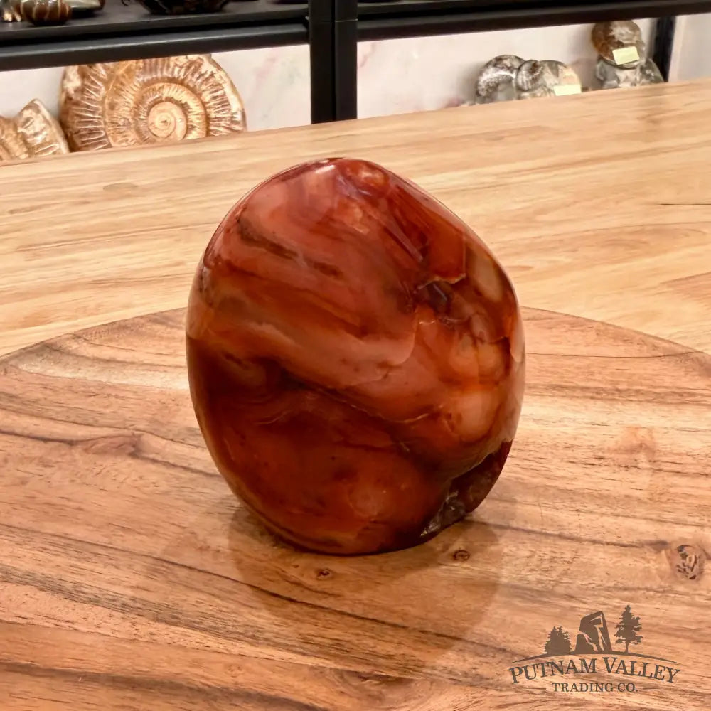 Polished Carnelian Accent 3.54’’ Accent