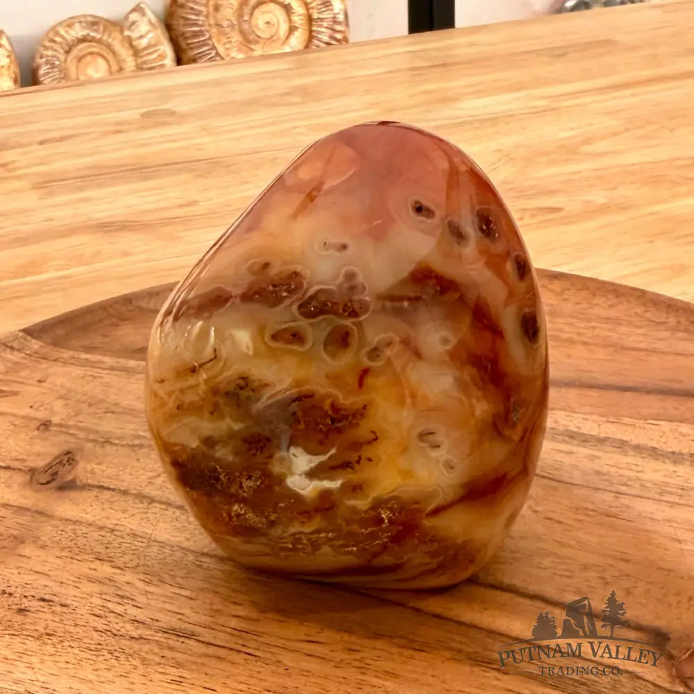 Polished Carnelian Accent 3.54’’ Accent